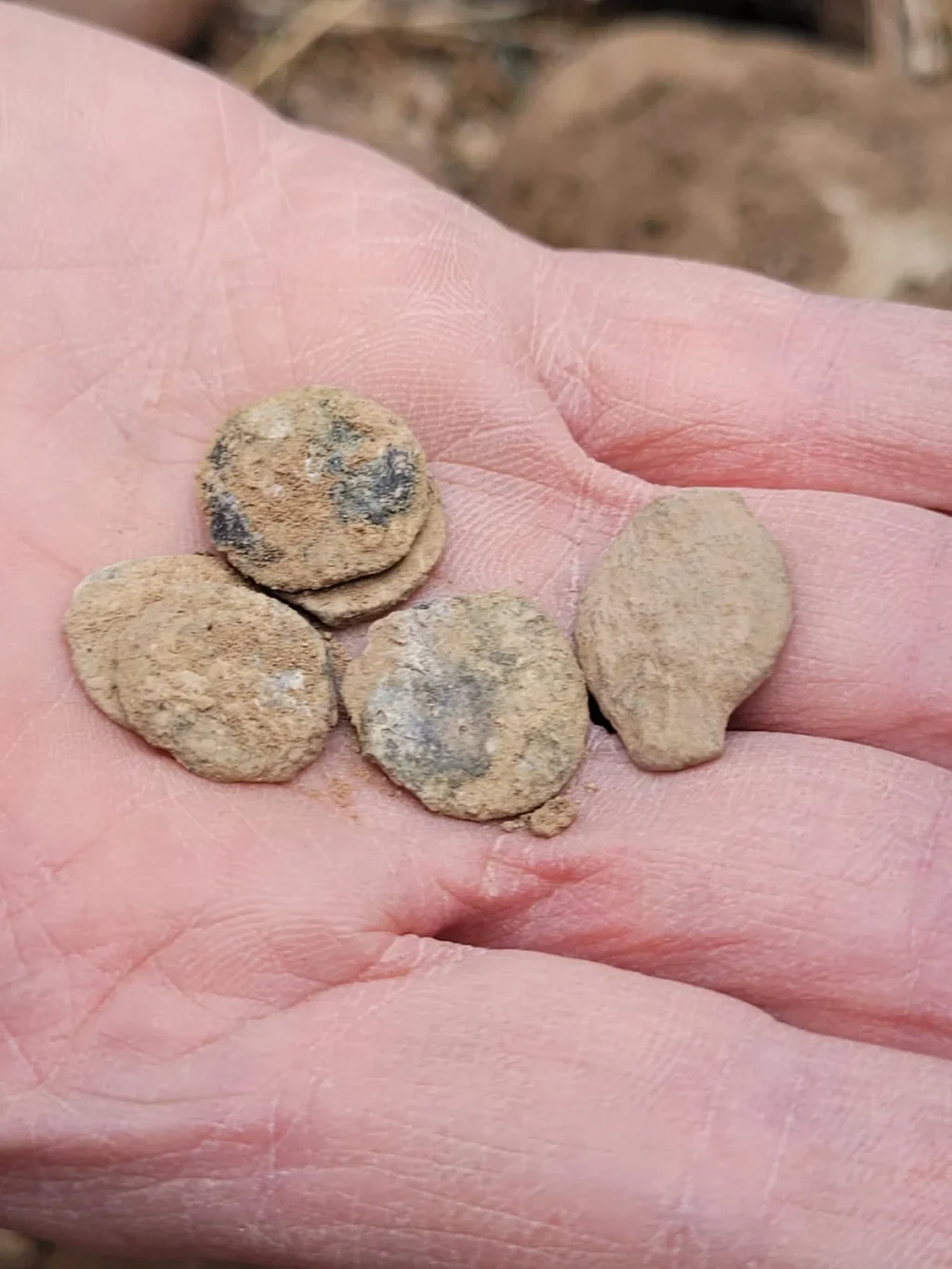 Hundreds Of Ancient Coins Uncovered In The “City Of Palm Trees” – Greek Inscription Adds Mystery Hundreds Of Ancient Coins Uncovered In The “City Of Palm Trees” – Greek Inscription Adds Mystery